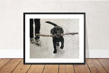 Load image into Gallery viewer, Black Labrador Puppy Painting, PRINT, Canvas, Dog art,  Fine Art - from original oil painting by James Coates
