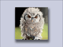 Load image into Gallery viewer, The Little Owl - Canvas Wall Art Print
