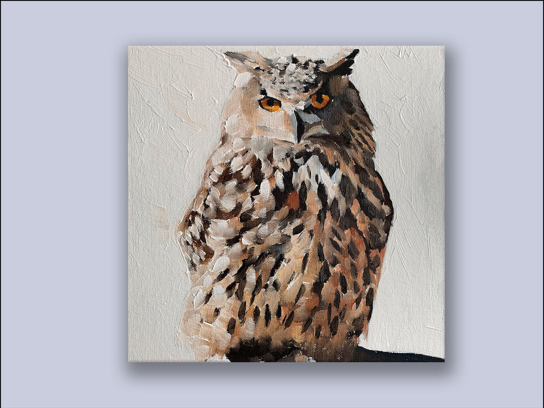 The Long Eared Owl - Canvas Wall Art Print