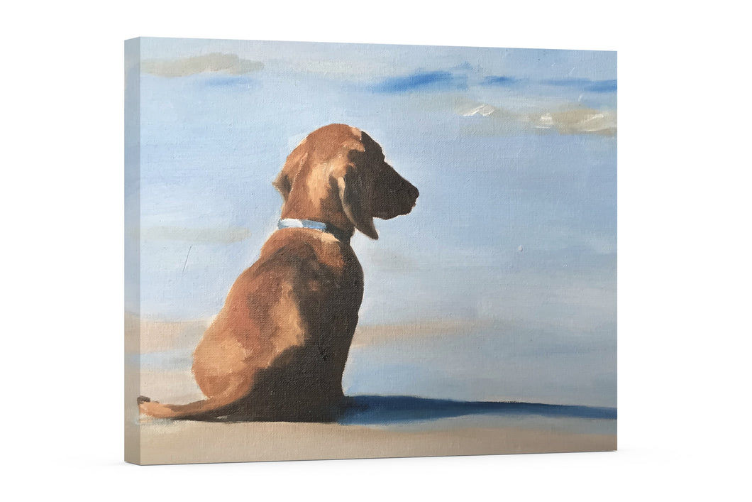 Dachshund Canvas Wall Art Print of Dachshund on Beach 16 x 20 inches