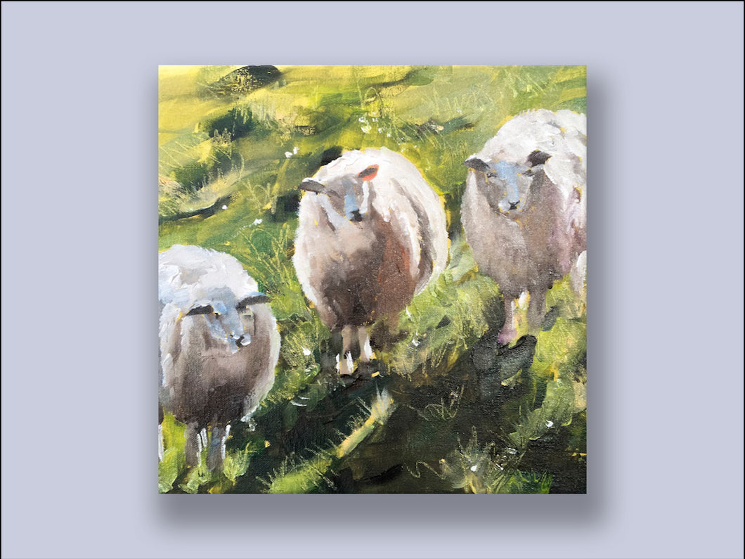 We Three Sheep- Canvas Wall Art Print