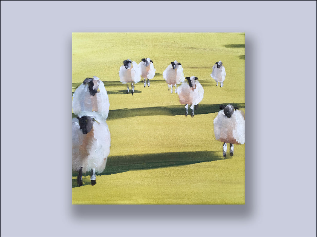 Sheep Shadows - Canvas Wall Art Print