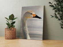 Load image into Gallery viewer, Swan  - A2 Canvas Print
