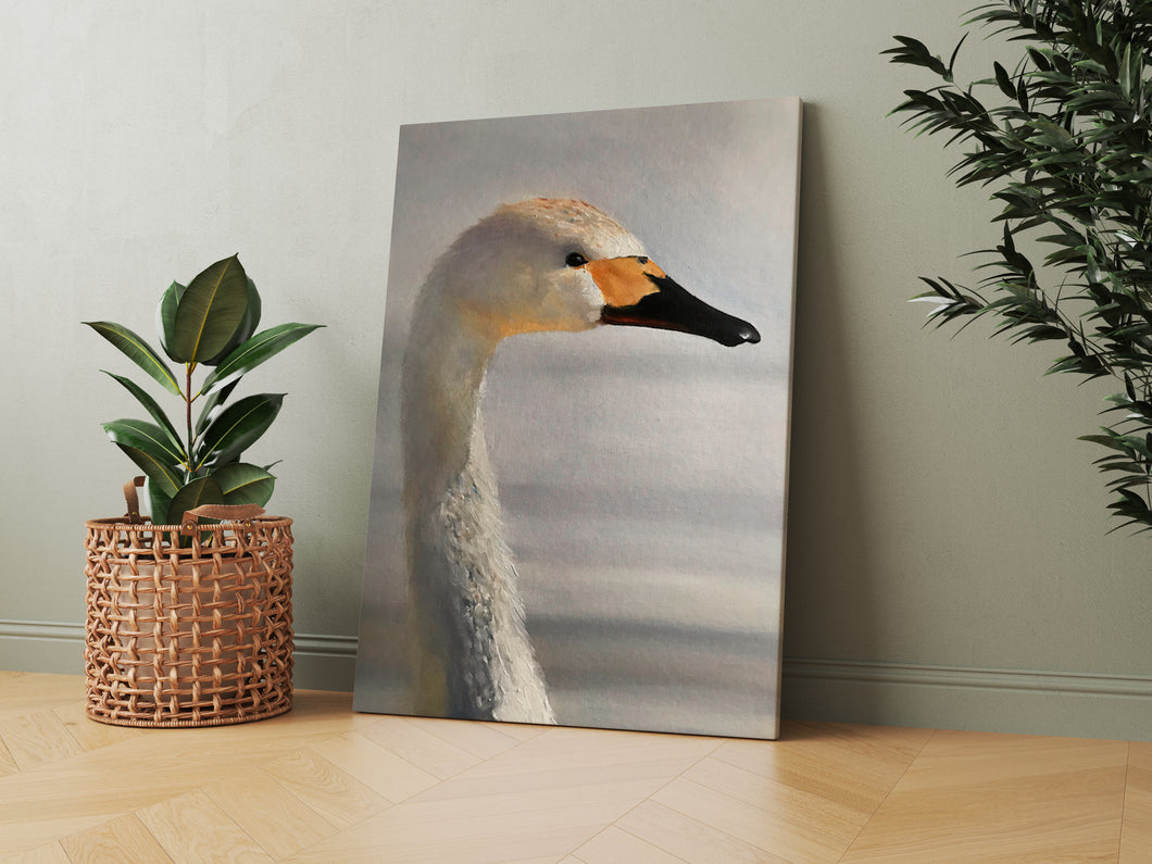 Swan  - A2 Canvas Print