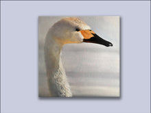 Load image into Gallery viewer, The Lone Swan - Canvas Wall Art Print
