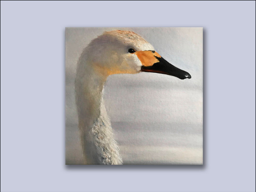 The Lone Swan - Canvas Wall Art Print