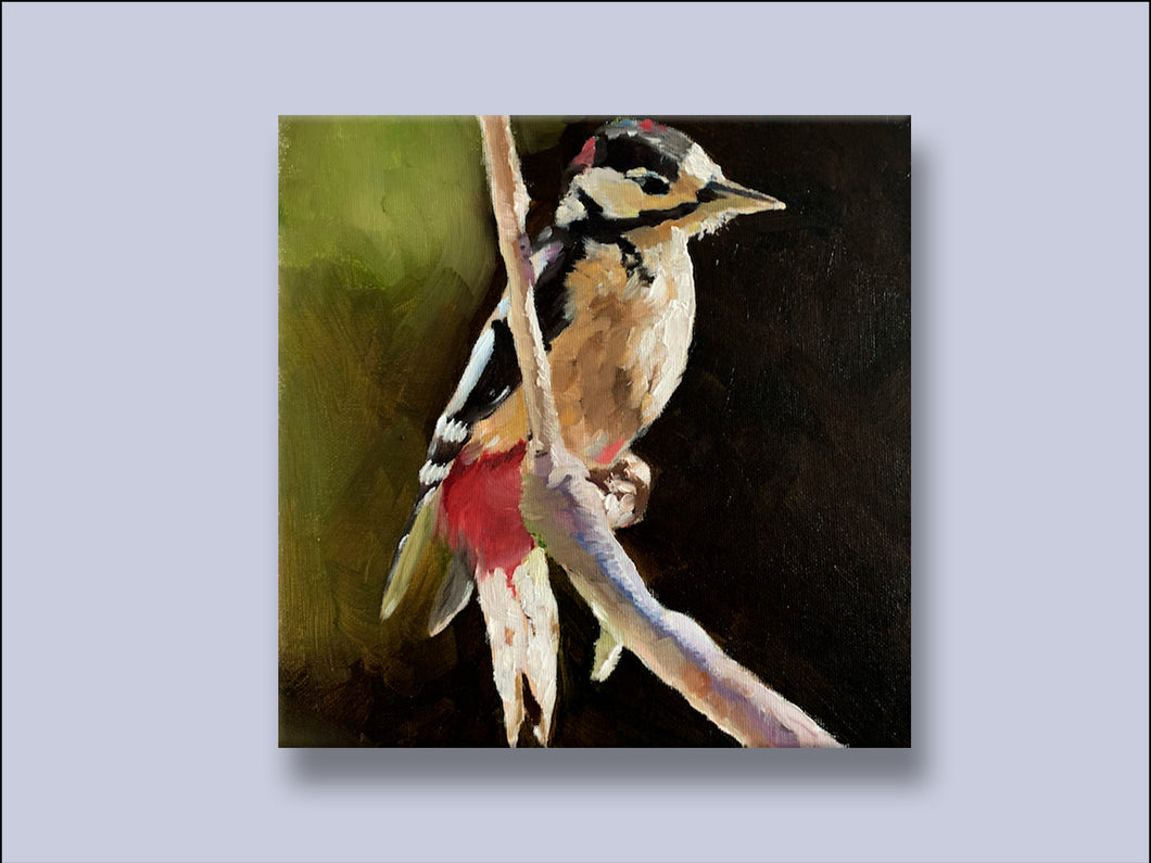 Really Great Spotted Woodpecker - Canvas Wall Art Print